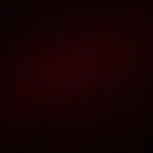 listing for elizabeth only!! zta shirts